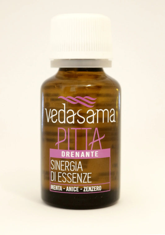 PITTA-Synergie